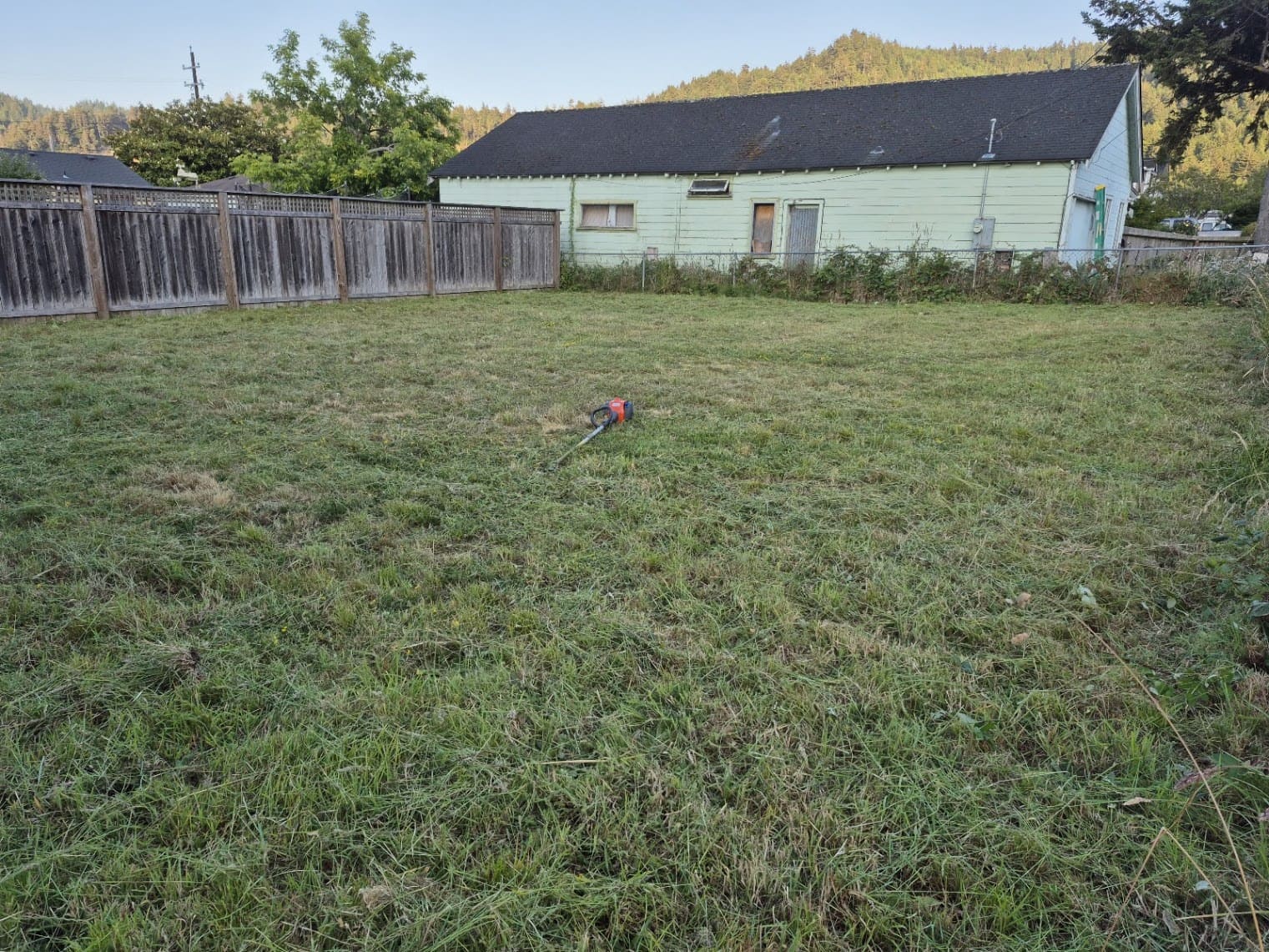 Lawn Care Service service