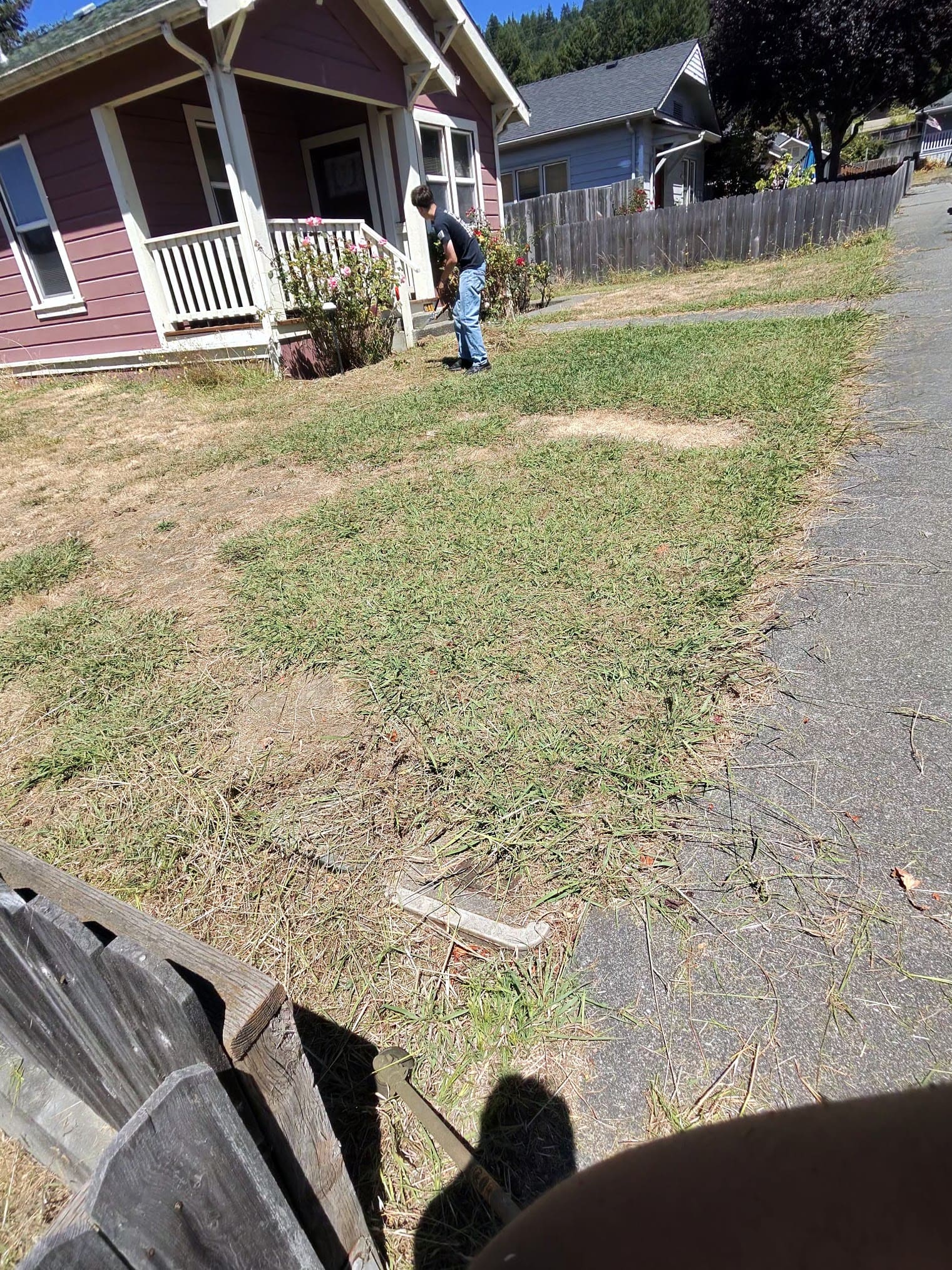 Weed Eating service
