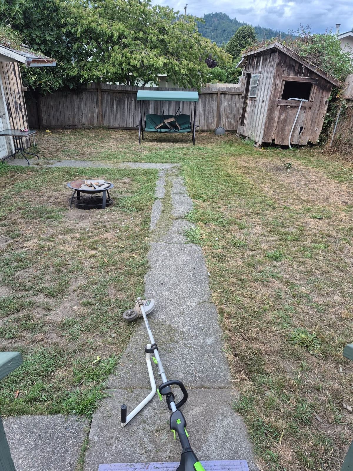 Weed Eating service